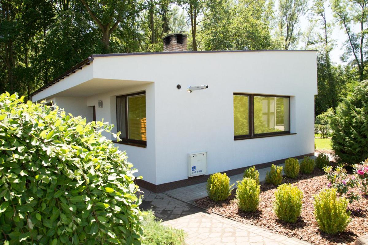 Camping Oaza Błonie Kórnik Domki Standard Plus - 3 pokoje Zewnętrze zdjęcie